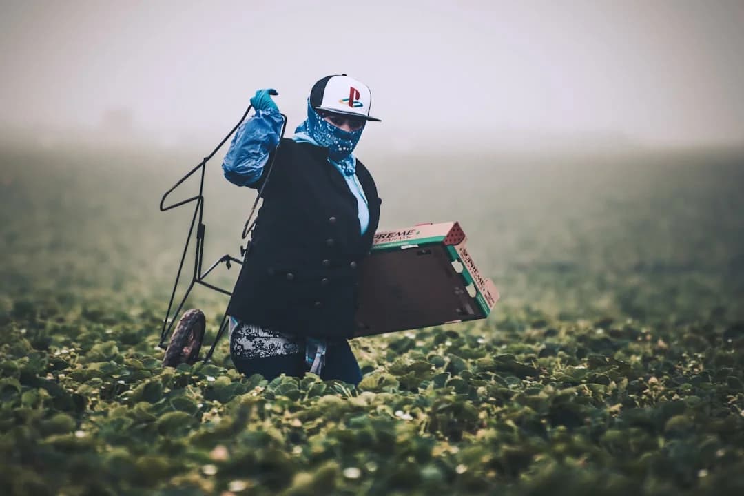 IA para Agricultores Hispanos en EE.UU. Rural 2026