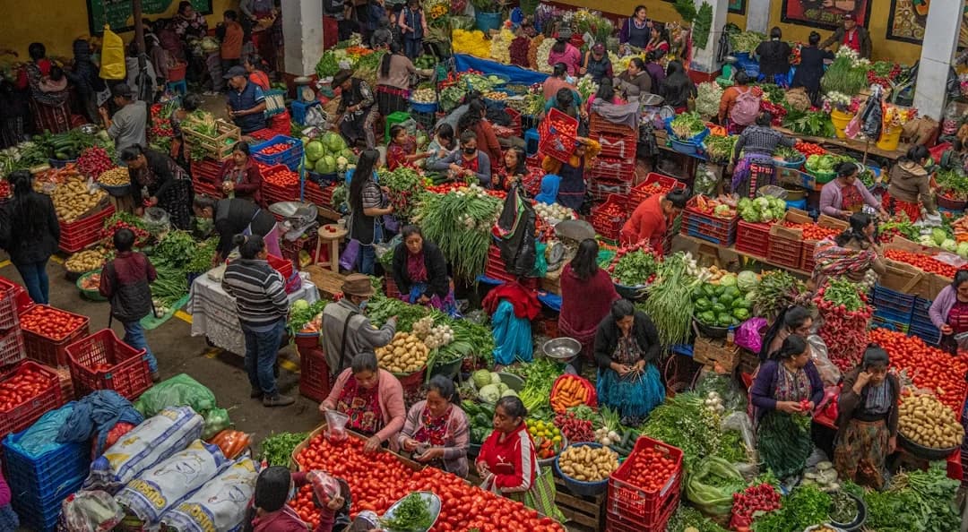 Seguridad Alimentaria Y Resiliencia Comunitaria Hispana 2026